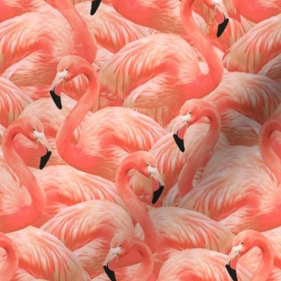 Flamingo Fever in Coral Half Scale