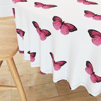 Botanical Butterflies, Pink