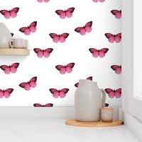 Botanical Butterflies, Pink