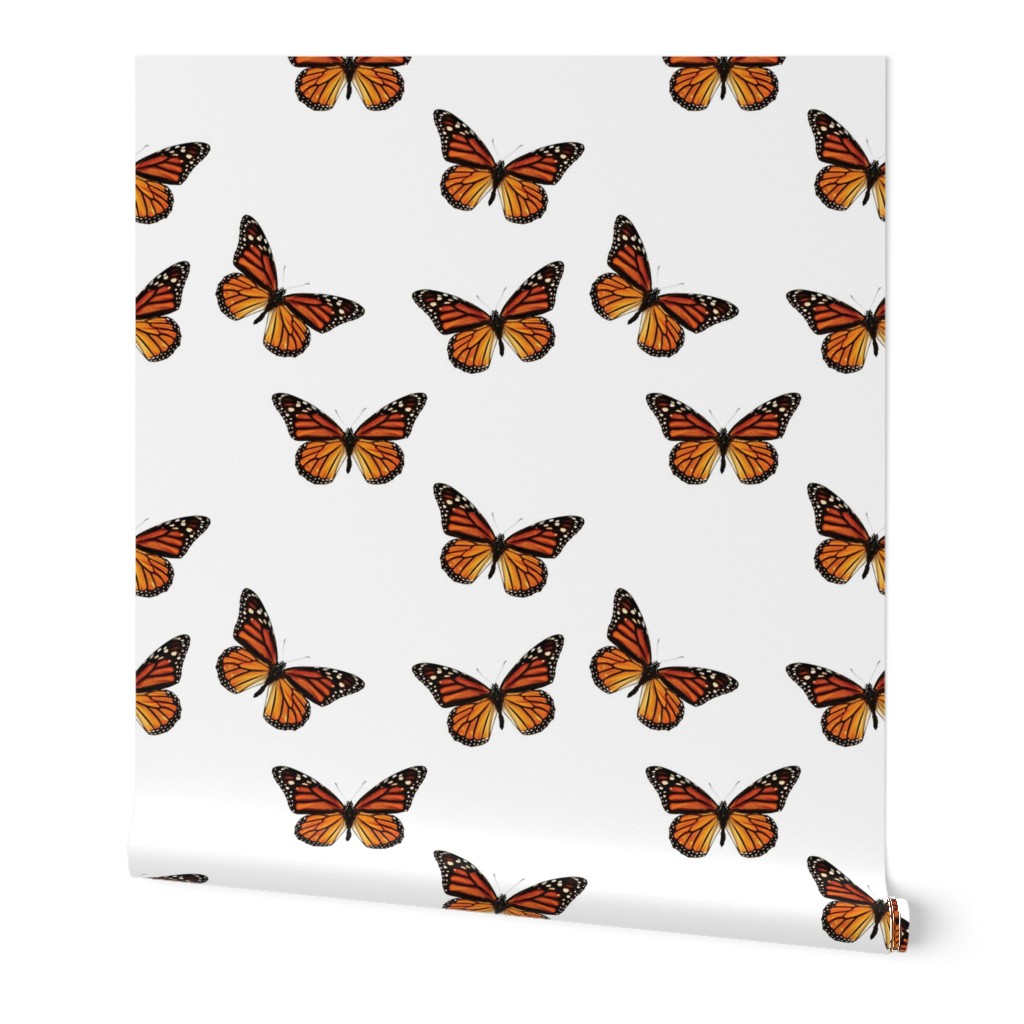 Botanical Butterfly, Monarch