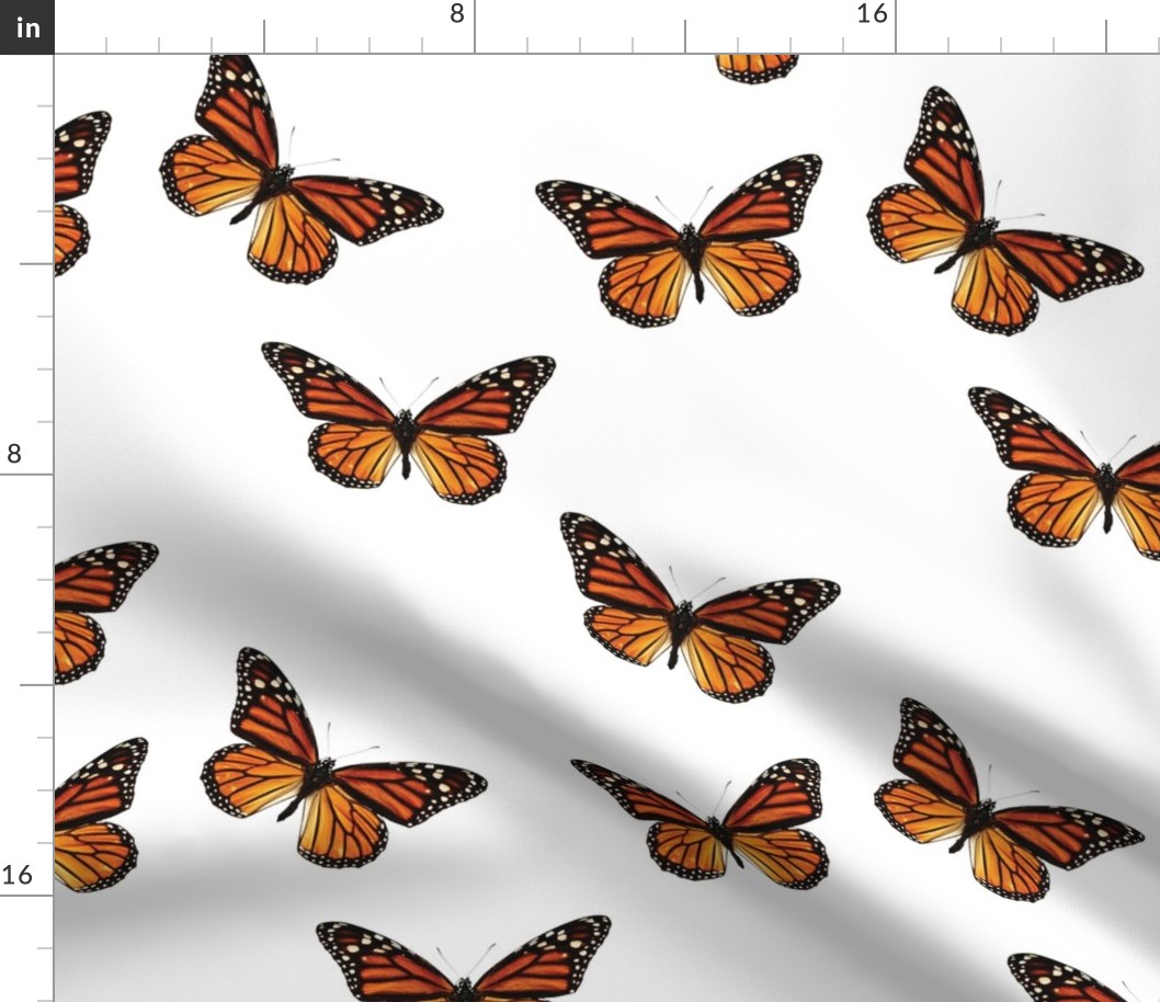 Botanical Butterfly, Monarch