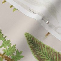 Ferns on Parchment // LARGE