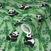 Bamboo Panda