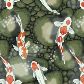 Koi pond