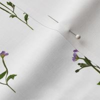 PRESSED FLOWERS - Chickweed Willowherb - Open