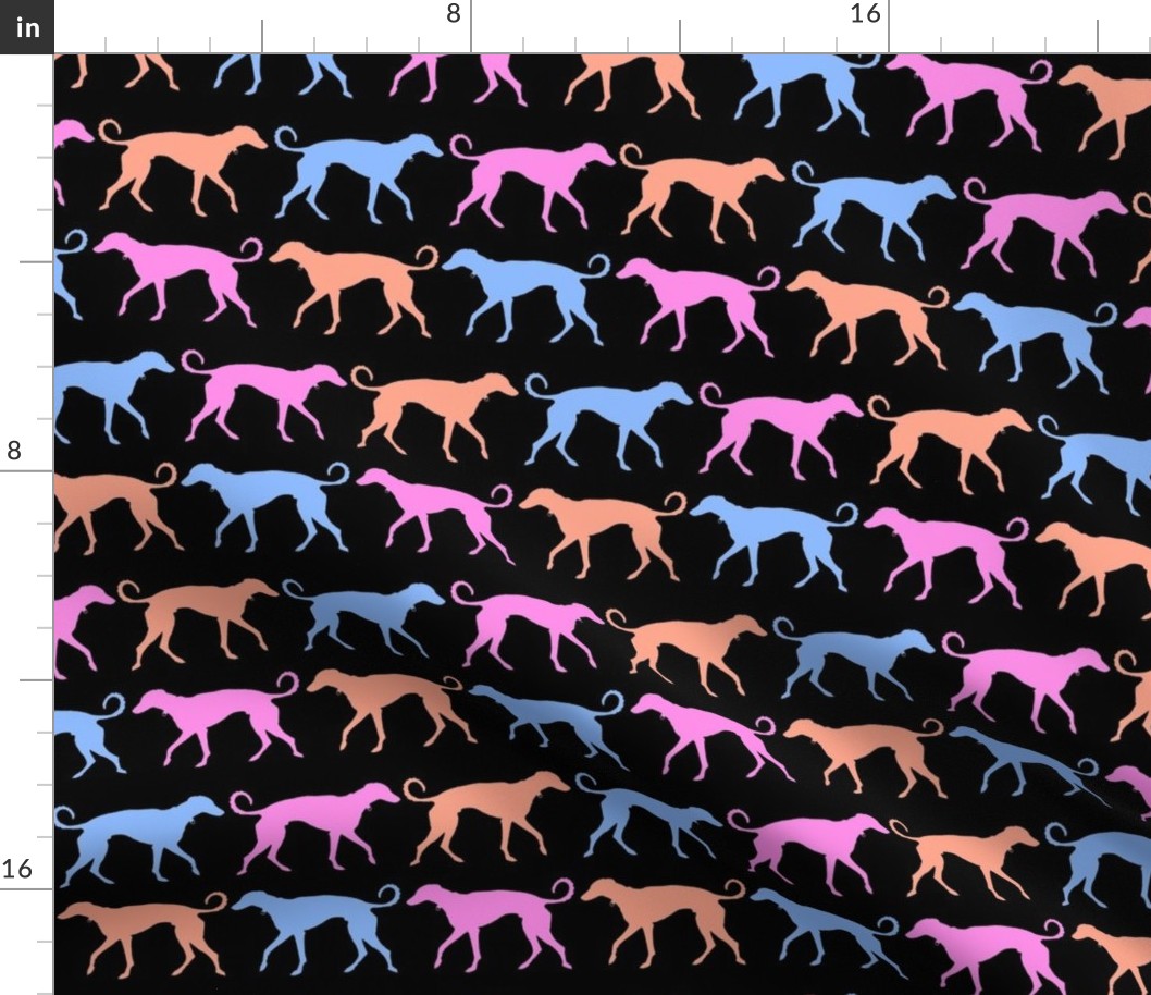 Rainbow Greyhound Black, Pink, Orange, Blue