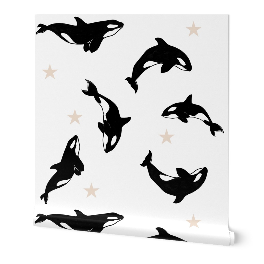 Killer Whales + Stars on White