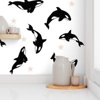 Killer Whales + Stars on White