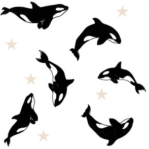 Killer Whales + Stars on White