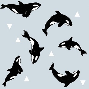 Killer Whales + Triangles on Blue