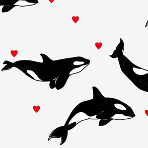 Killer Whales + Hearts