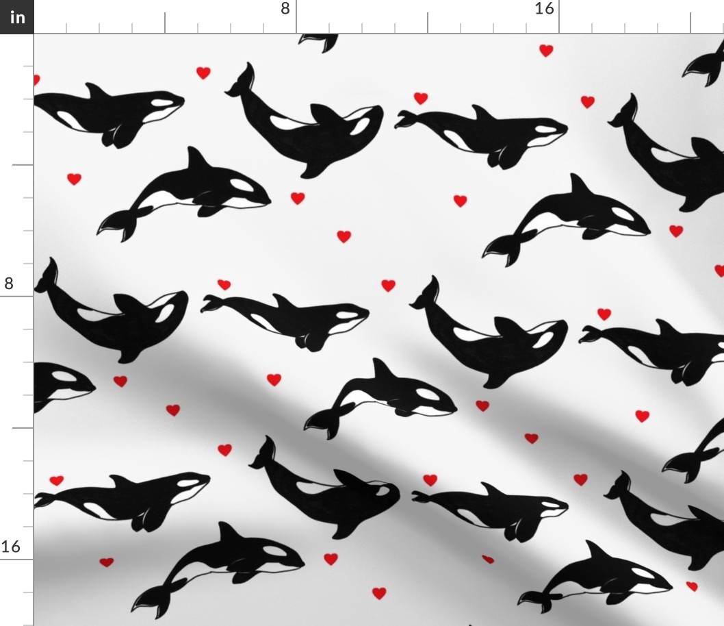 Killer Whales + Hearts