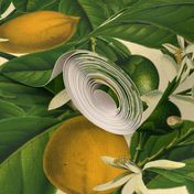 Lemon Botanical ~ Trianon Cream