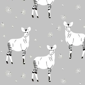 okapi grey