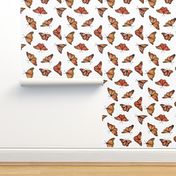 Monarch butterfly pastel on white background