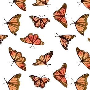 Monarch butterfly pastel on white background