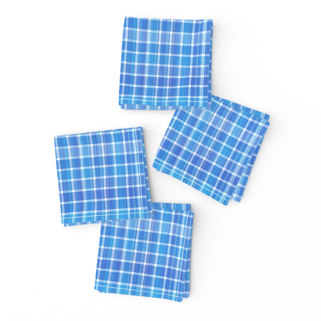Small Scale Blue and White Plaid