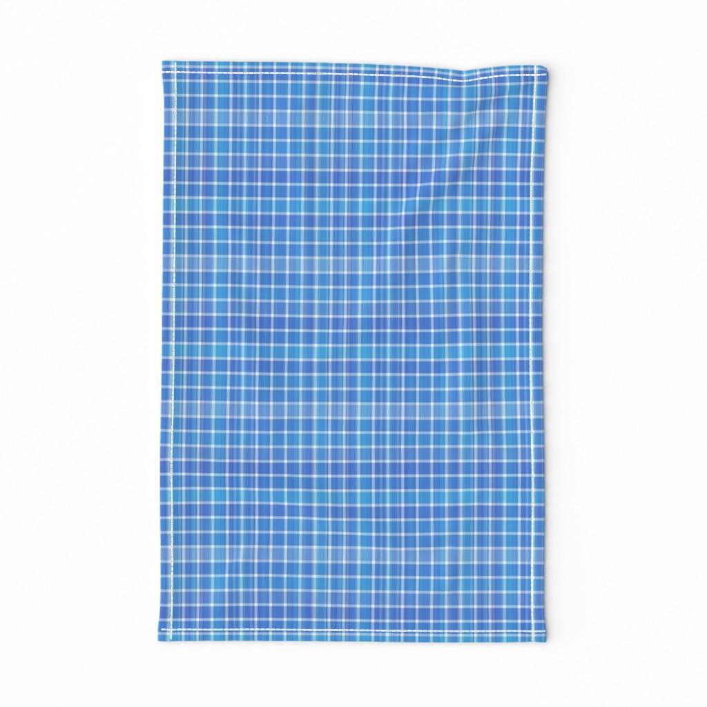 Small Scale Blue and White Plaid