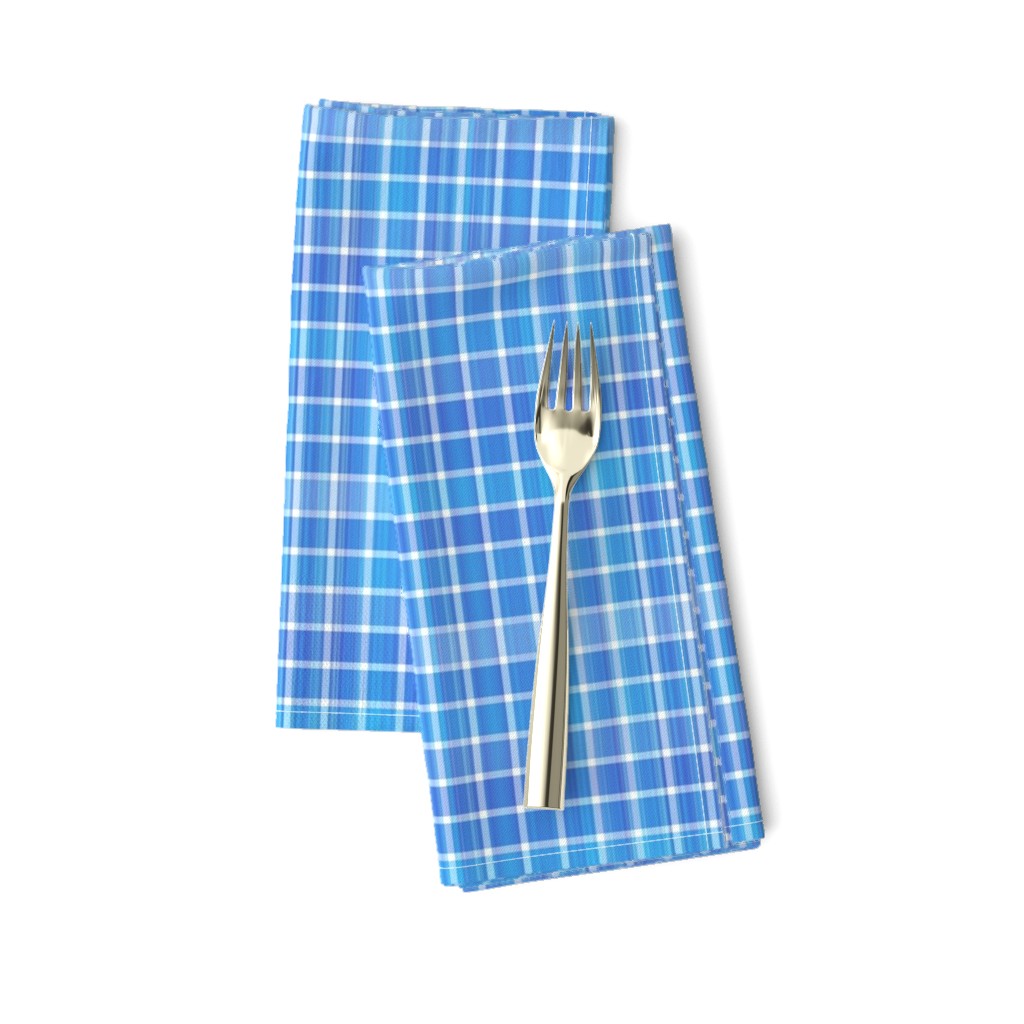 Small Scale Blue and White Plaid