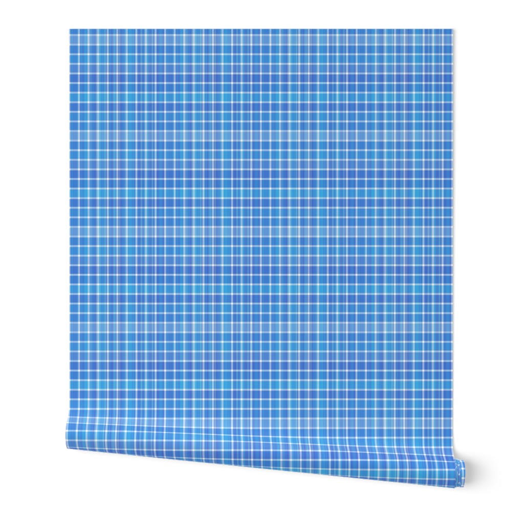 Small Scale Blue and White Plaid