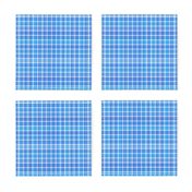 Small Scale Blue and White Plaid