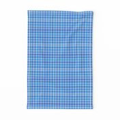 Small Scale Blue and White Plaid