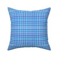 Small Scale Blue and White Plaid