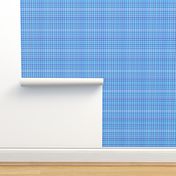 Small Scale Blue and White Plaid