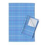 Small Scale Blue and White Plaid