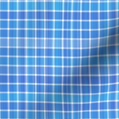 Small Scale Blue and White Plaid