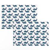 Whale-sperm-4-tile