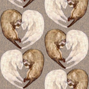 Ferret Love on Brown