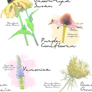 Flower Garden Sketches 