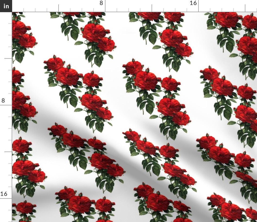 Redoute Roses ~ Riot of Red Jumble ~ Small