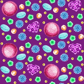 Rainbow_pollen_on_purple