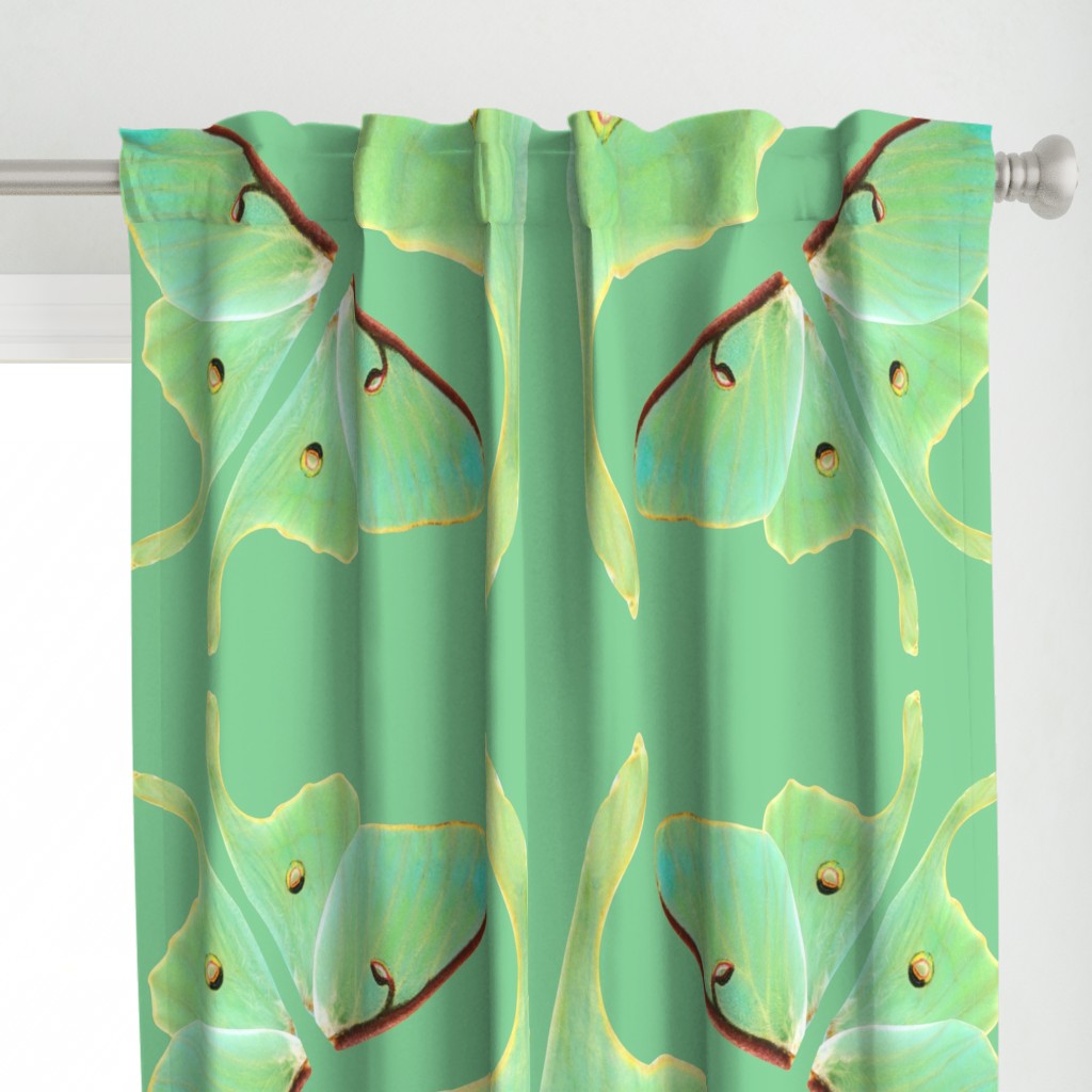 Luna Moth Oversized Costume Panel