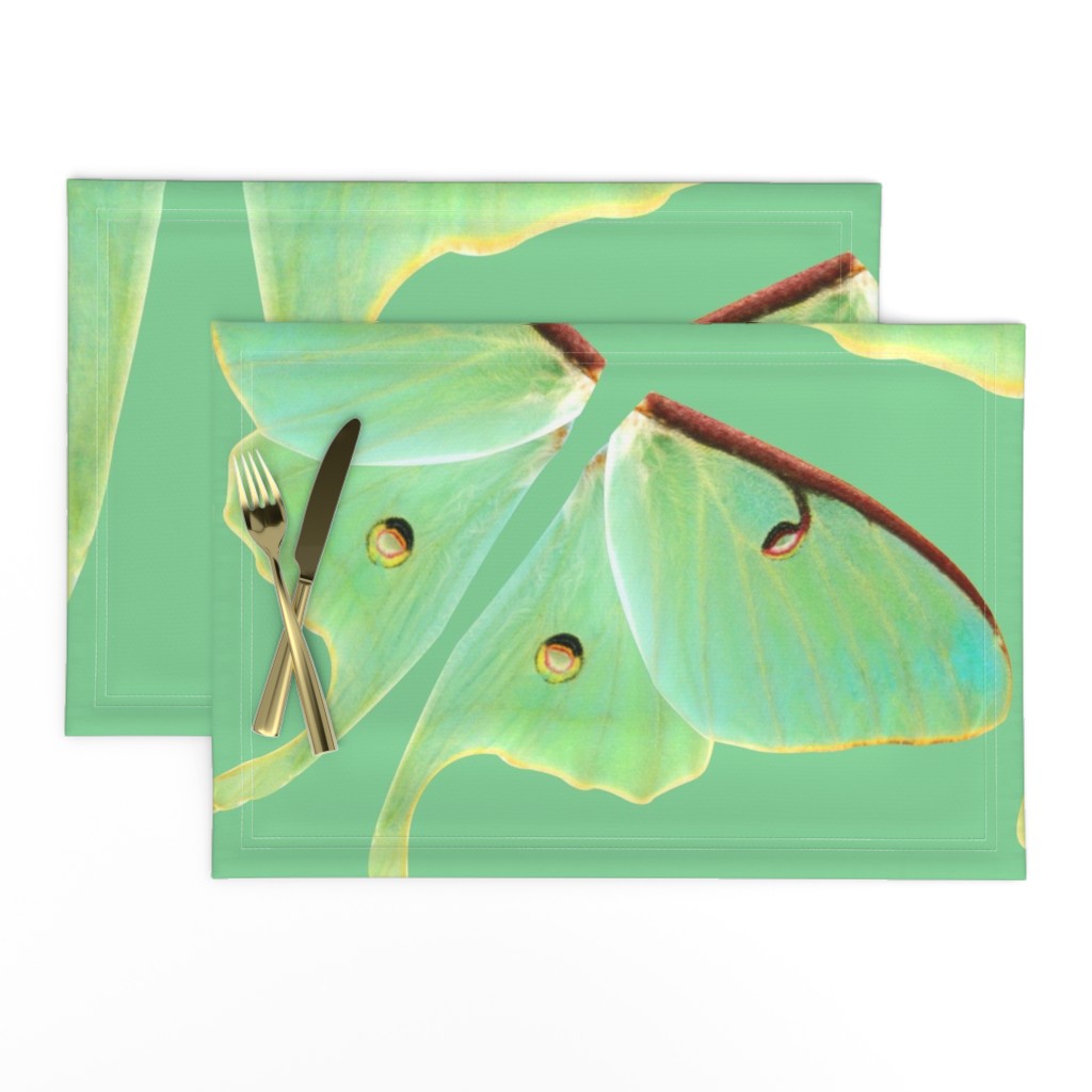 Luna Moth Oversized Costume Panel