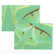 Luna Moth Oversized Costume Panel