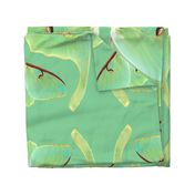 Luna Moth Oversized Costume Panel