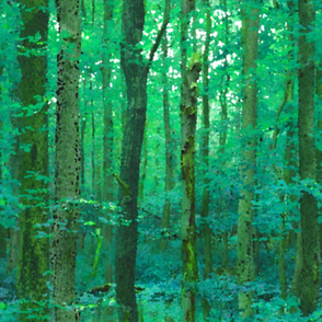 Forest For The Trees ~ Watercolor 