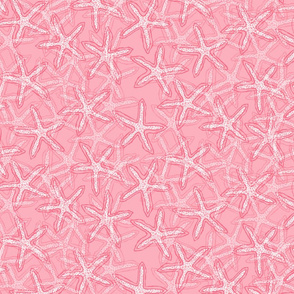 Starfish in Pinky Red Tones