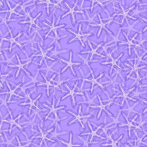 Starfish in Bright Purple Tones