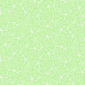 Starfish in Light Green Tones
