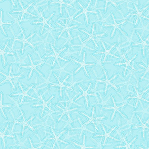 Starfish in Baby Blue Tones