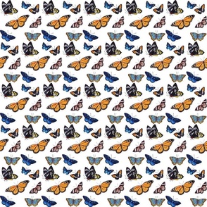 Blue and Orange Butterflies (Small)