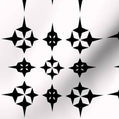 Black and White Star Geometric