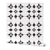 Black and White Star Geometric