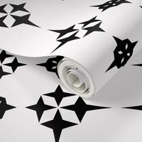 Black and White Star Geometric