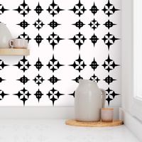 Black and White Star Geometric