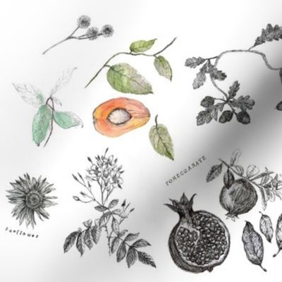 Spoonflower_Botanical